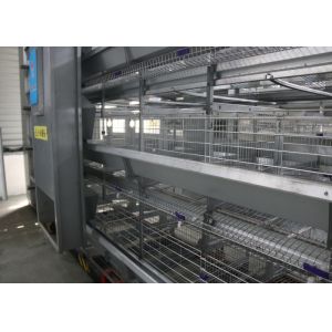 Cheap Sturdy Durable Layer Farming Equipment Cross - Opening Door Design wholesale