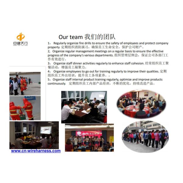 Wiring Harness Customized All Kinds Size Car Wiring Harness Automobile Wiring Harness Kit Cable