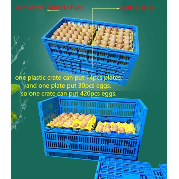 Foldable Mesh Plastic Chicken Chick Cage Crate with Storage Box For Poultry in Blue PP