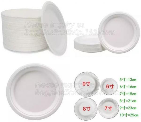 100% Biodegradable and compostable sugarcane pulp packaging disposable paper plate,sugarcane baggase oval paper plate ba