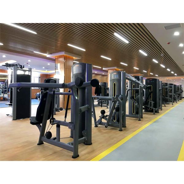 Commercial and Home Gym Fitness Equipment Steel Pin-Loaded Bicep Machine for Chest Back Shoulder Leg Training