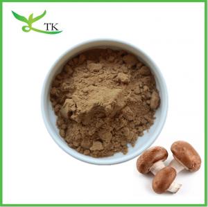 China Pure Natural Plant Shiitake Mushroom Extract Powder Polysaccharides Shiitake Mushroom Powder on sale