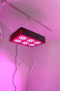 China Cidly LED 6 hydroponics farm 3w high power led grow light/200w full spectrum plant lights on sale