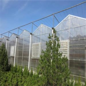 Large Venlo Glass Greenhouse Perfect Fit For Plant Growth Needs