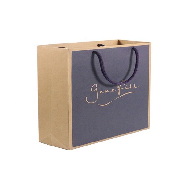 Reusable Matte Varnishing Kraft Shopping Bags With Fabric Handle
