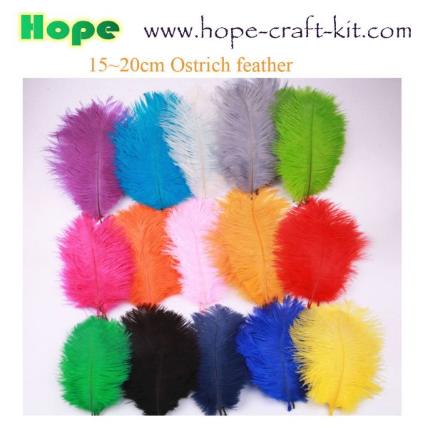 Peacock feathers, goose feathers, turkey chicken feathers for hobbies and children kids STEM hand-crafted DIY material