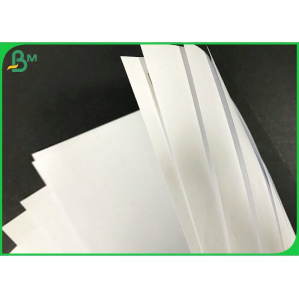 Long Grain White Plain 60g 70g 80g Rolls Woodfree Paper For Offset Printing 