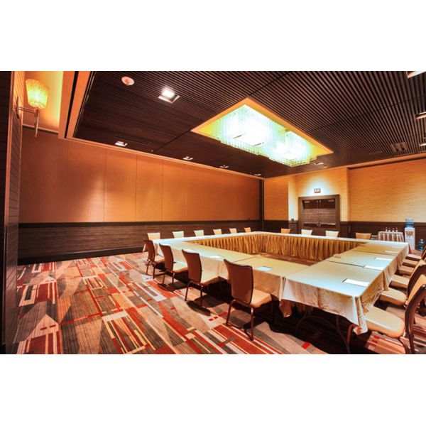 Restaurant Retractable Screen Acoustic Room Dividers Folding Sliding Floor to Ceiling