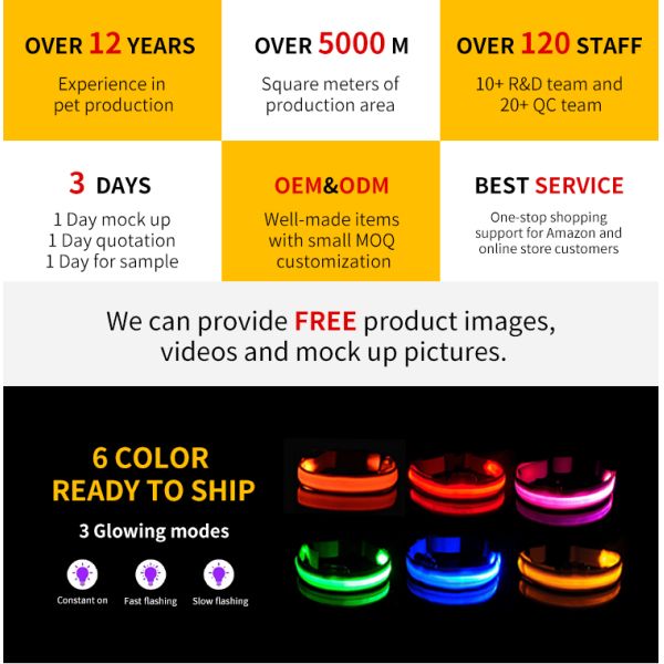 Customized Logo IPX8 Waterproof Adjustable Dog Light Up Tag for Night Walking Flashing Glowing Luminous USB Rechargeable