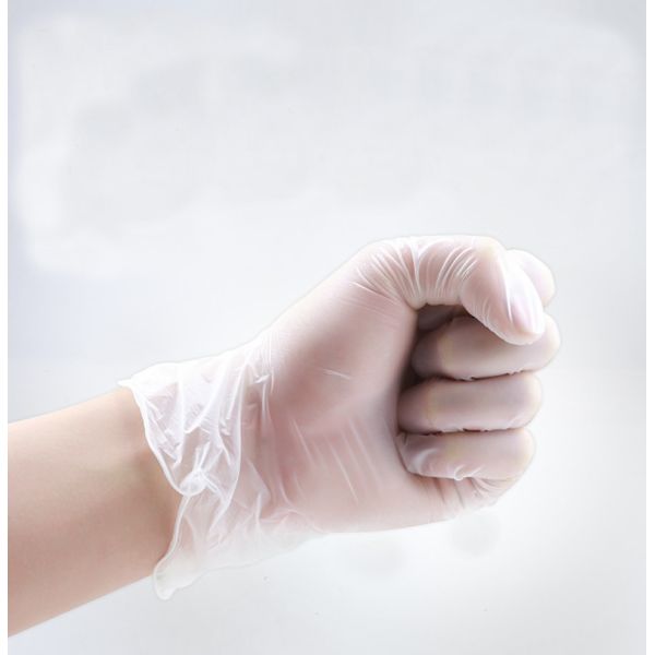 Disposable Powder Free Clear Latex Food Service Gloves For Food Processing