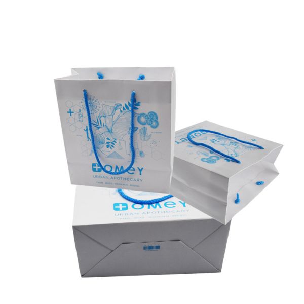 Recyclable CDR Custom Printed Paper Shopping Bag CMYK PMS With Rope Handles