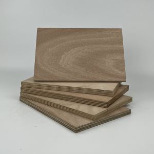 Cheap Furniture Hardwood Veneer Plywood 2440x1220x18mm Mildewproof wholesale