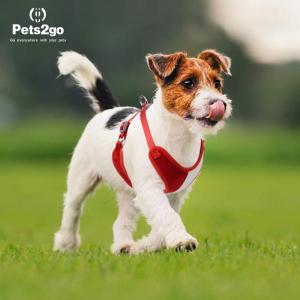 Cheap Nylon Oxford Lightweight 122G Comfort Dog Harness wholesale