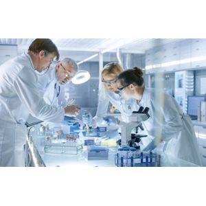 LUBEMAXX LUBRICANTS LTD