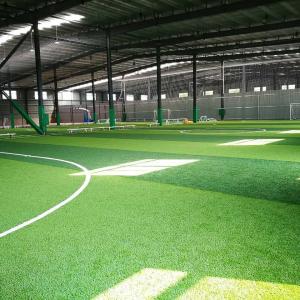 Cheap 45mm Grass Pile Height Soccer Synthetic Artificial Grass Used For School Court wholesale