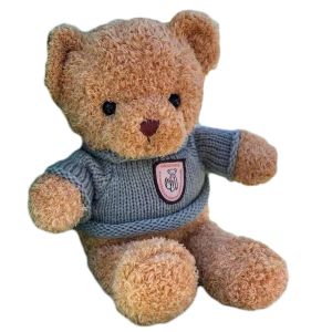 Cheap 25cm Brown Plush Rag Doll Teddy Bear Girlfriend Birthday Gift wholesale