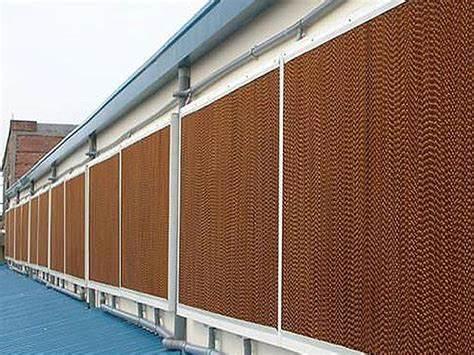 Agricultural Single-Span Tunnel Type Film Blackout Mushroom Greenhouse with Light Deprivation System for Medical Plants and Mushroom