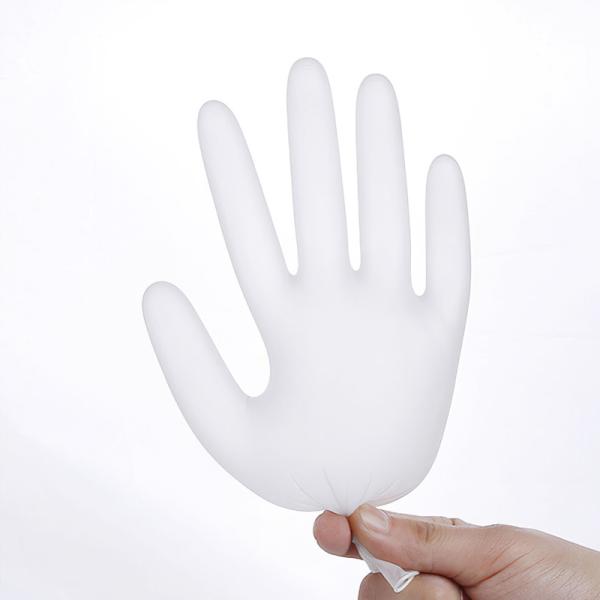 Powder Free Disposable Vinyl Gloves For Foodservice Handling Transparent 1000PCs/CTN