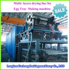 China recycling waste paper egg tray machine on sale
