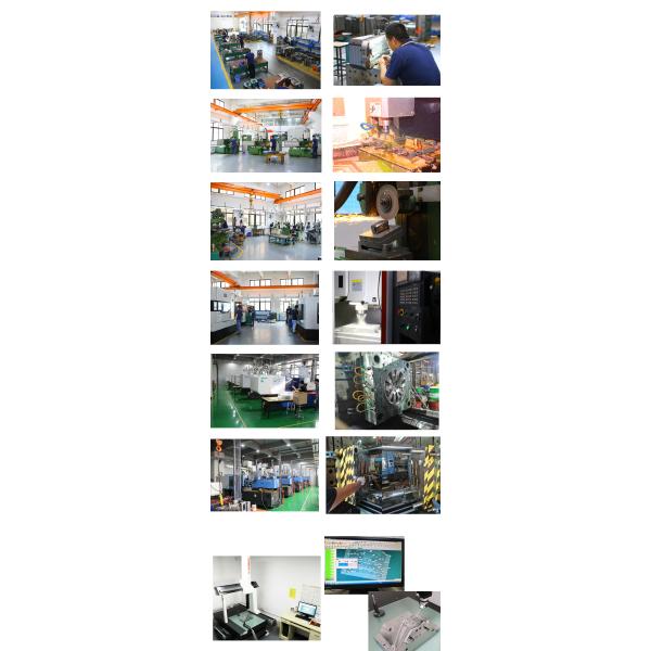 TSMP NAK20 Plastic Injection Mould For Toy Car Cover