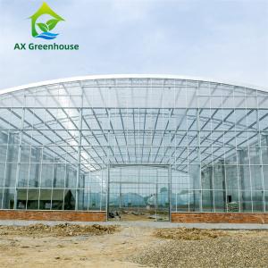 Cheap Waterproof Multispan Agricultural Glass Greenhouse Large Venlo Shading Greenhouse wholesale