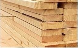 Contemporary Different Design Modern Metal Base Fashion Style Leisure Lounge Arm Chair