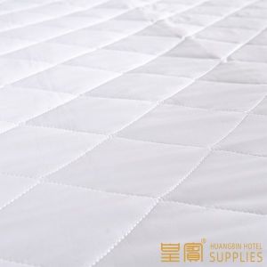 Home Anti Bud Quilted 200g Mattress Cover Protector