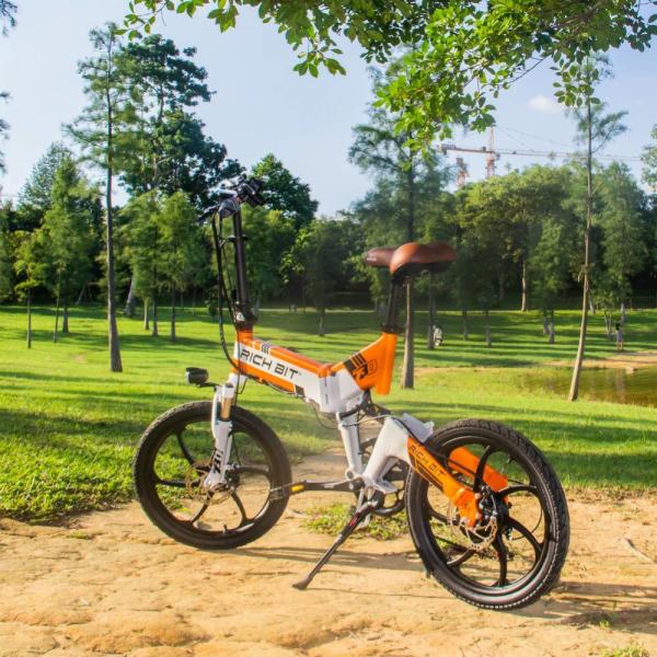 Rich Bit Top-730 Folding Mountain Electric Bikes For Adults Teenager Sport 48v 9.6Ah 35kmh
