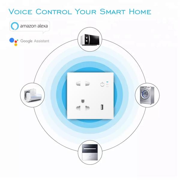 1 Usb 2 Jacks Tuya Smart Wall Plug Socket Vietnam White Customizable Support Amazon Alexa Voice Connection