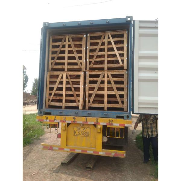 Van-T Fixed Metal Window Frames With Spray Paint / Sandblasting Surface