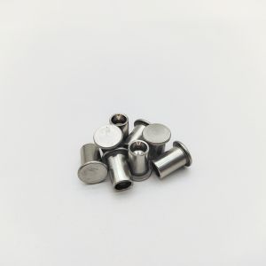 316L Stainless Steel Flat Head Semi-Tubular Rivets ISO 15977