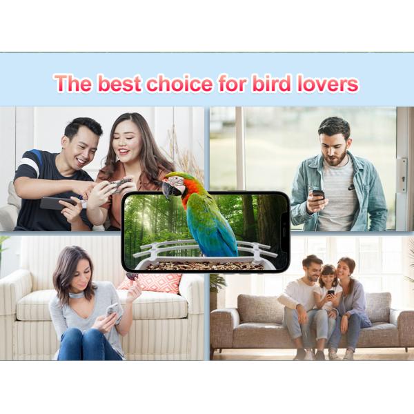 IP66 Waterproof 4MP Smart Bird Feeder 2.5L Wildlife Smart Bird Camera