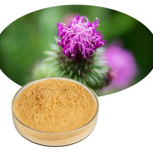 Cheap Water Soluble Silybum Marianum Extract Milk Thistle Powder P.E. For Liver Health wholesale