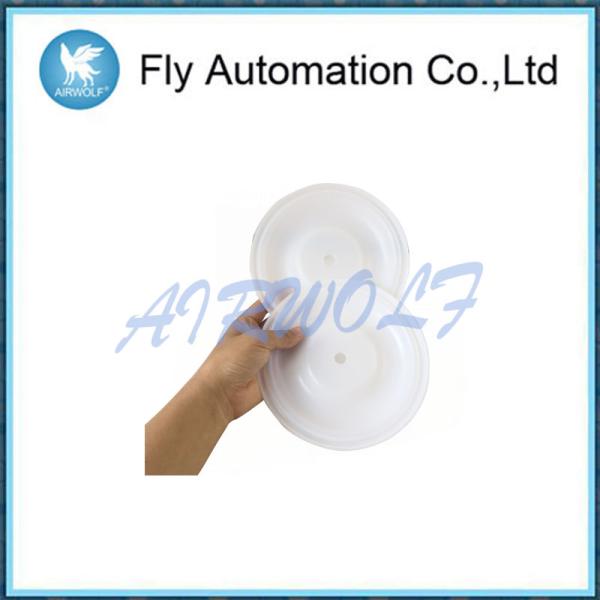 108839 Ptfe Air Operated Diaphragm Repair Kit 3 / 4" D54211 D5d211 D4d966