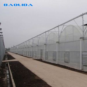 Prefabricated Tunnel Plastic Film Multispan Greenhouse Plastic Film Greenhouse