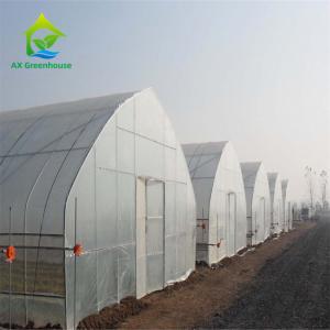 Cheap OEM Aluminium Double Layer Poly Tunnel Greenhouse Onion Farming wholesale