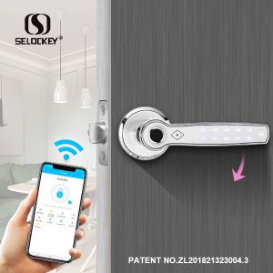 China IP55 Home Fingerprint Keyless Smart Bedroom Door Lock on sale