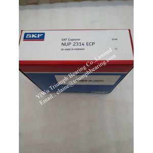 Cheap Cylindrical roller bearings, single row NUP2314ECP wholesale