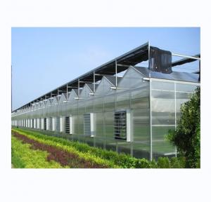 Cheap Sturdy And Large Greenhouse Agriculture Polycarbonate With Galvanized Steel Frame wholesale