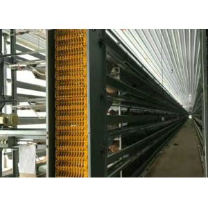 Q235B / Q355B Steel Structure Farm Chicken House Fireproof GB