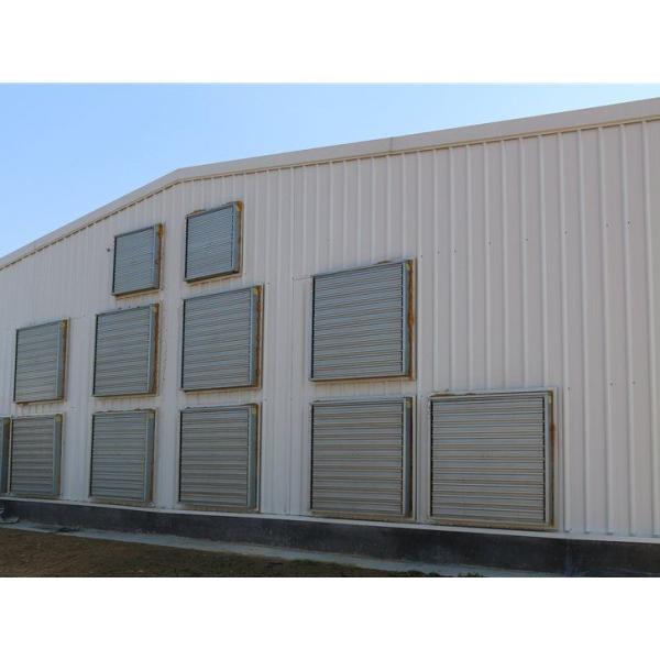 Modern Economical Steel Chicken Farm Customized Color Graphic Design