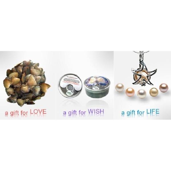 Wholesale Canned Genuine Oyster Shell Pearl In Can Freshwater Pearl Bead