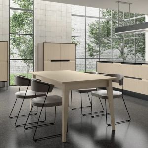 Modern Modular Kitchen Cupboard European Style PET Waterproof Kitchen Cabinets