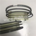 2W1079 Engine Piston Rings For CAT Excavator Spare Parts 1 Year Warranty