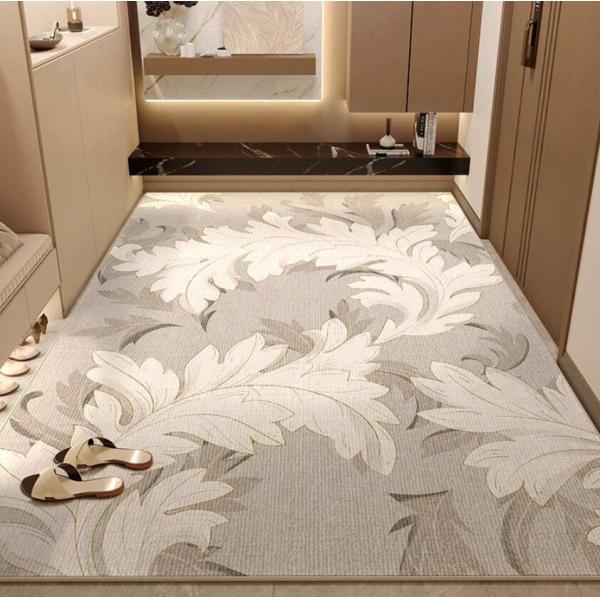 2024 New Door entry light luxury high sense Floor Carpet Rug