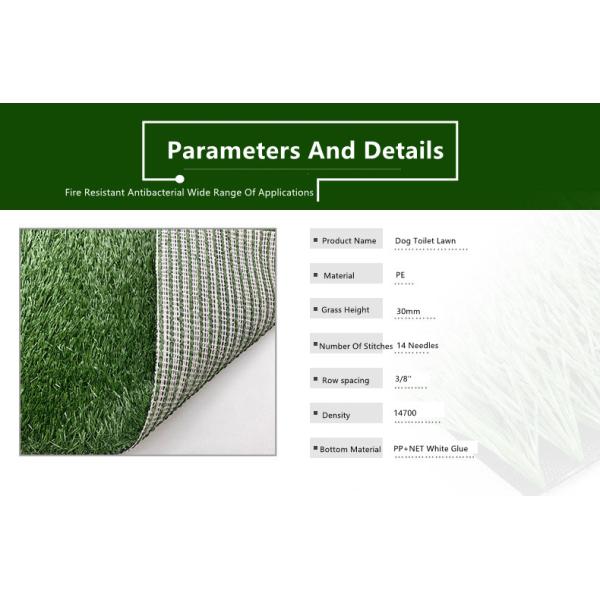 Pet Artificial Turf Grass Padel Court Artificial Grass For Pet Behaviour Training