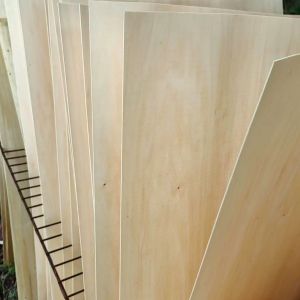 Cheap Poplar Wood Rotary Cut Veneer ISO9001 Oak Smooth Furniture Facing wholesale