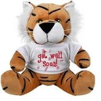 Customized Stuffed Animal Toys Brown Tiger With Badge Plush Toy