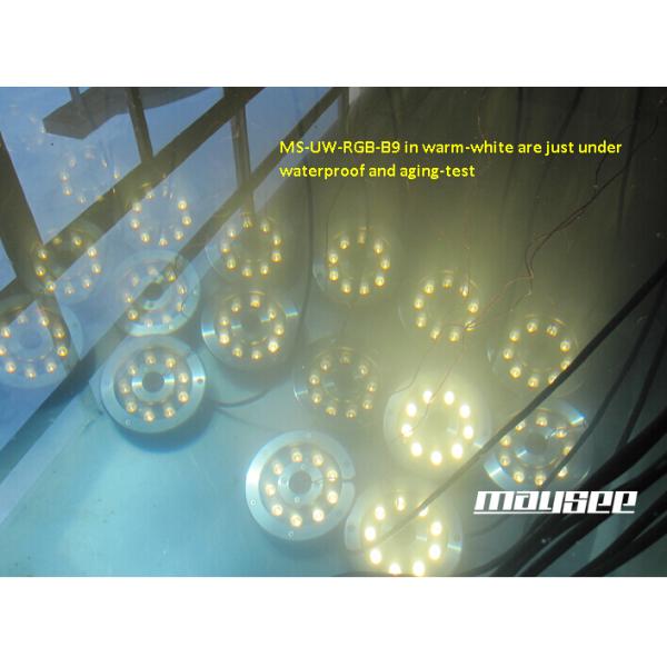 Stability 12 / 36 Watts Led Water Fountain Lights Constant Current Drive