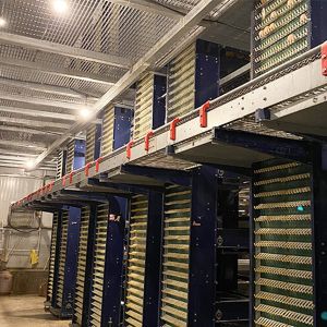 H Frame Male And Female Seperate Breeder Cage